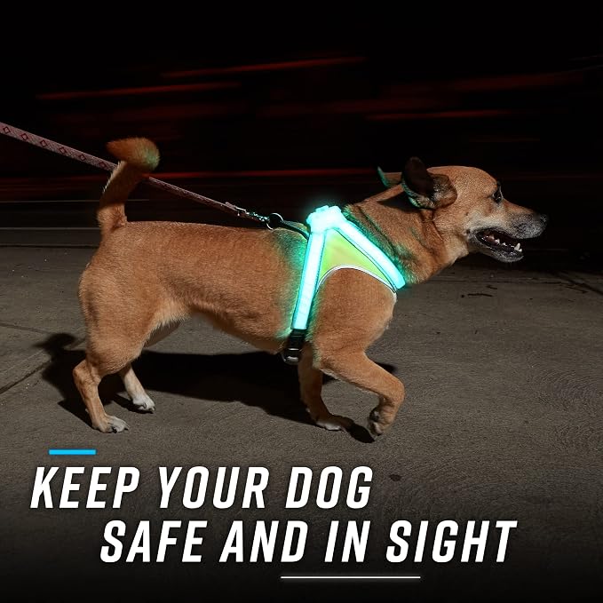 noxgear LightHound Light Up Reflective Dog Harness, Small | 360° Light Up Reflective Dog Harness, 8 Colors & 6 Modes, USB Rechargeable, Adjustable, Rainproof, LED Fiber Optic