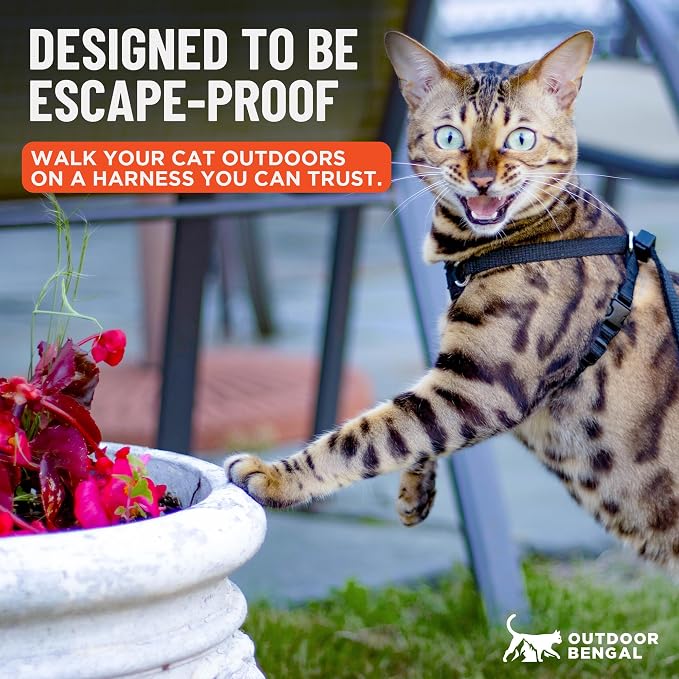 Houdini™ Escape Proof Cat Harness and Leash (Black, XL) | Adjustable walking vest with 6ft lead, breathable mesh, secure snug fit, lightweight for travel, hikes and daily adventures