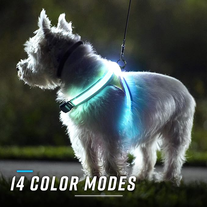 noxgear LightHound Light Up Reflective Dog Harness, Small | 360° Light Up Reflective Dog Harness, 8 Colors & 6 Modes, USB Rechargeable, Adjustable, Rainproof, LED Fiber Optic