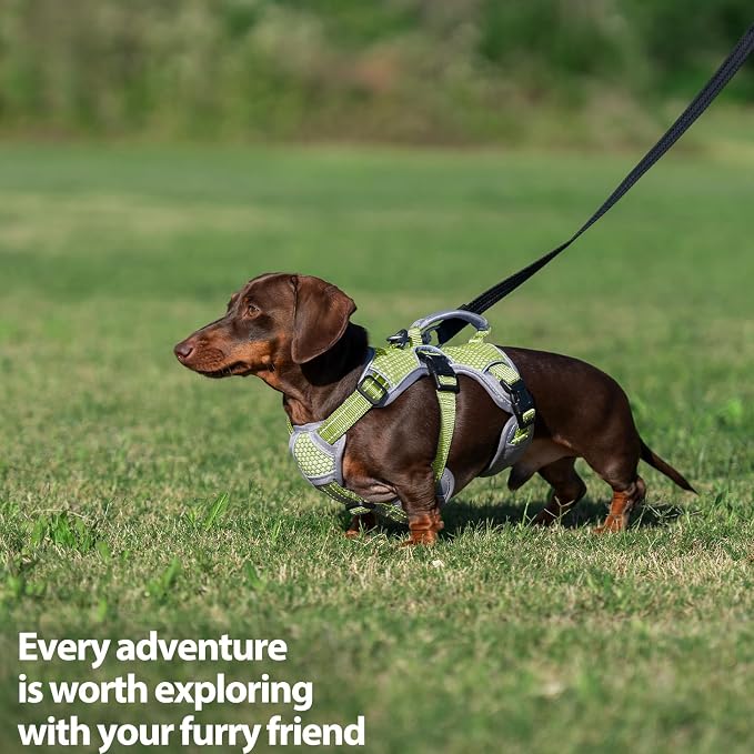Escape Proof Dog Harness, Dachshund Harness, Reflective Dog Harness with Handle, Durable,Adjustable Vest for Small Medium Large Dogs Walking, Training, and Running Gear (Green,L)