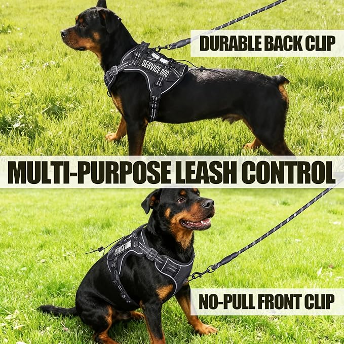 3-in-1 Dog Vest Harness Leash Set for Daily,Service,Training Animal Small