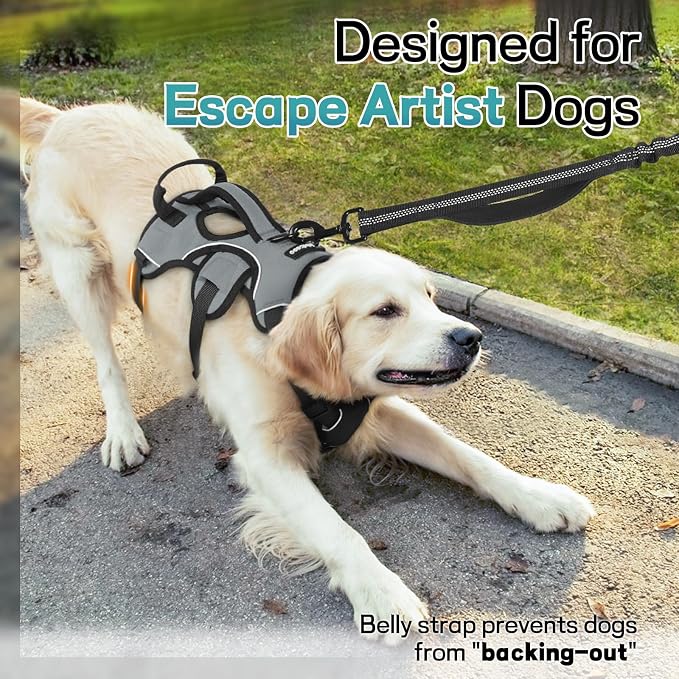 rabbitgoo Escape Proof Dog Harness for Medium, No Pull with Lift Handle | No Escape, Full Soft Padded, Reflective Adjustable Vest, Leash Clip for Walking Hiking Training, Grey, Medium
