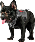 OneTigris Tactical Dog Harness Vest No-Pull Service Dog Vest for Small Dogs | 1000D Pullable Nylon, with Control Handle and Hook & Loop Panels, Easy On & Off, Adjustable for Walking Training Gray XXS