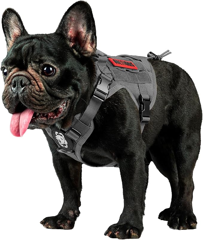 OneTigris Tactical Dog Harness Vest No-Pull Service Dog Vest for Small Dogs | 1000D Pullable Nylon, with Control Handle and Hook & Loop Panels, Easy On & Off, Adjustable for Walking Training Gray XXS