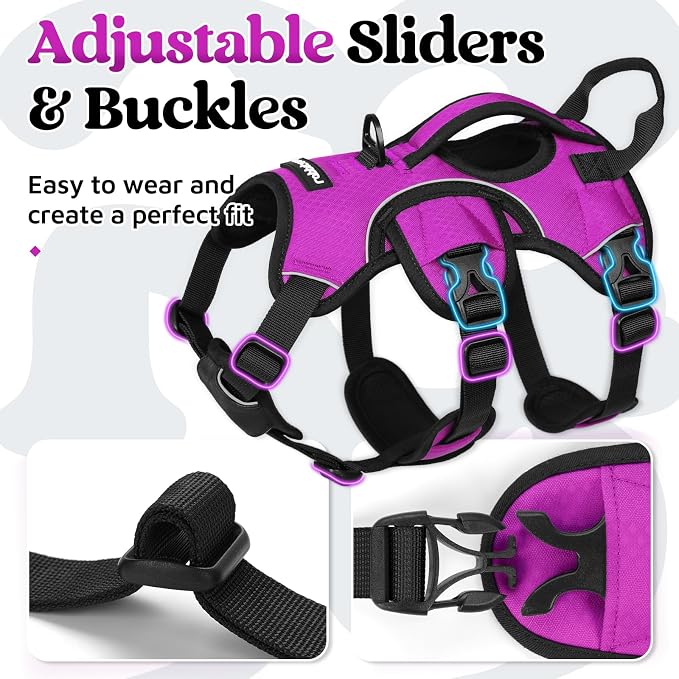 rabbitgoo Escape Proof Dog Harness for Small, No Pull with Lift Handle | No Escape, Full Soft Padded, Reflective Adjustable Vest, Leash Clip for Walking Hiking Training, Purple, Small