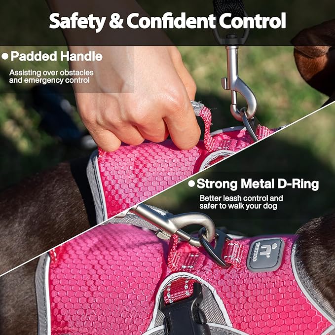 Escape Proof Dog Harness, Dachshund Harness, Reflective Dog Harness with Handle, Durable,Adjustable Vest for Small Medium Large Dogs Walking, Training, and Running Gear (Rose red,S)