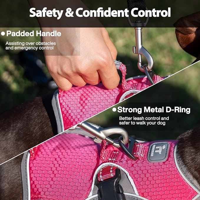 Escape Proof Dog Harness, Dachshund Harness, Reflective Dog Harness with Handle, Durable,Adjustable Vest for Small Medium Large Dogs Walking, Training, and Running Gear (Rose red,XL)