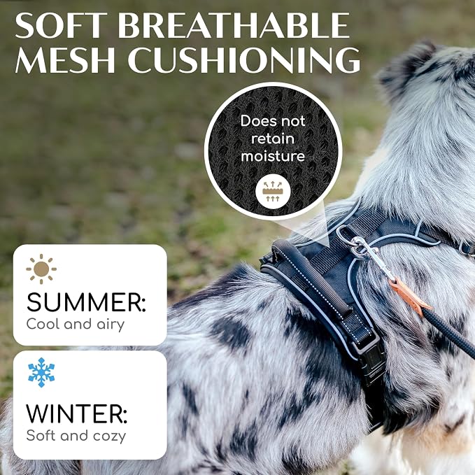Freudentier No Pull Dog Harness with Handle, Front & Back Clips, Reflective | Soft breathable mesh padding - perfect fit with no chafing or slipping - comfortable dog vest for small, medium & large dogs