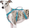 Escape Proof Dog Harness, No Pull Reflective Harness with Lift Handle, Adjustable Pet Vest with Front and Back Leash Clips for Small Medium Large Dogs Walking Hiking Training (Teal,L)