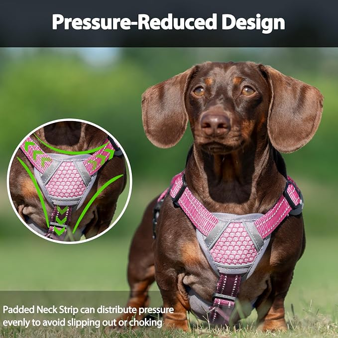 Escape Proof Dog Harness, Dachshund Harness, Reflective Dog Harness with Handle, Durable,Adjustable Vest for Small Medium Large Dogs Walking, Training, and Running Gear (Pink,M)