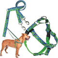 2 Hounds Design - Freedom No-Pull Harness & Training Leash in Green and Blue | Dual Leash Loops, No Pulling on Walks | Lined to Prevent Chaffing | for Large Sized Dogs (Size L, Chest 28”- 32”)