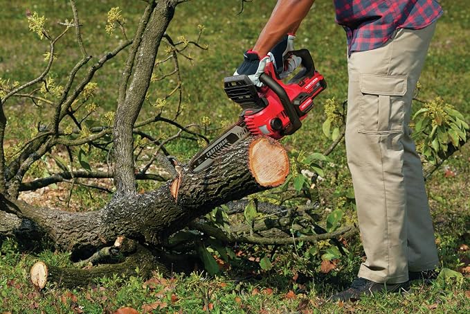 CRAFTSMAN V20 Cordless Chainsaw, 12-Inch Electric Chainsaw, Battery Powered, Battery and Charger Included (CMCCS620M1)
