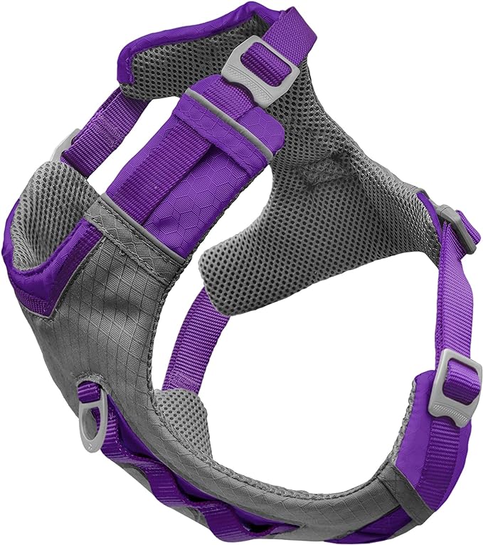 Kurgo Journey Air Dog Harness, Purple, Extra Large | Padded Chest, Ripstop Outer & Breathable Mesh, Back Assist Handle, Rust-Free Aluminum Hardware, Reflective Trim