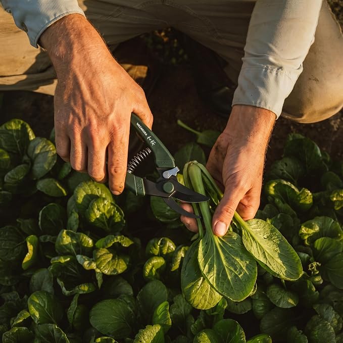 Wazakura Black Blade Pruning Shears - Carbon‑Reinforced Fluorine Coated, Ultra‑Sharp Clean Cuts for Flowers & Branches up to 1cm, Japanese Professional Garden Shears