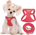 Puppytie XXS Puppy Harness and Leash Set, Red Camellia, XXS (2.2–6 lbs) | Puppy Harness for Small Dogs, Teacup and Yorkie Harness, Soft Lightweight and Adjustable, XXS Dog Harness for Daily Walks