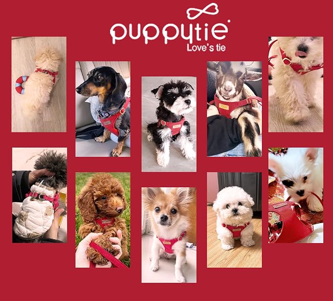Puppytie XXS Puppy Harness and Leash Set, Red Camellia, XXS (2.2–6 lbs) | Puppy Harness for Small Dogs, Teacup and Yorkie Harness, Soft Lightweight and Adjustable, XXS Dog Harness for Daily Walks