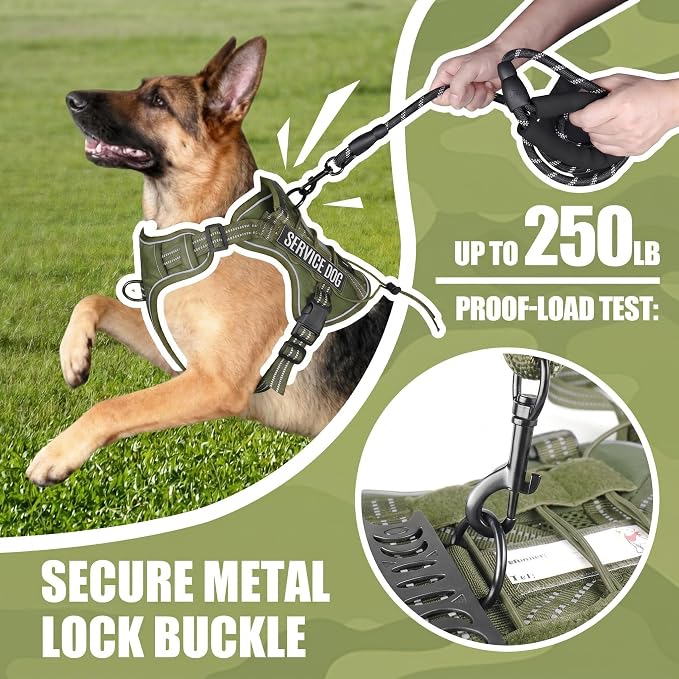 3-in-1 Dog Vest Harness Leash Set for Daily,Service,Training Animal Small