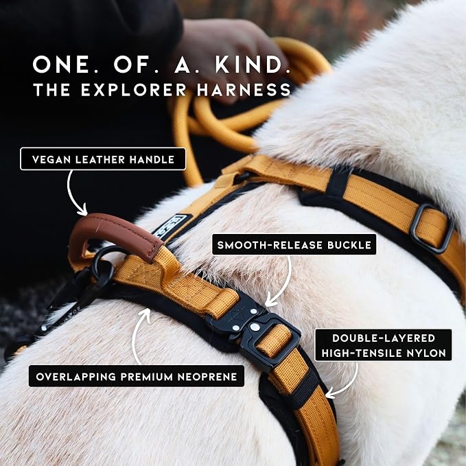 MADE TO ROAM Premium Explorer Harness - Y-Shaped Dog Harness with Adjustable Durable Nylon, Soft Padding, Metal Buckles and Leather Handle for Small, Medium, Large Dogs (Colorado Nightsky, Size 5)