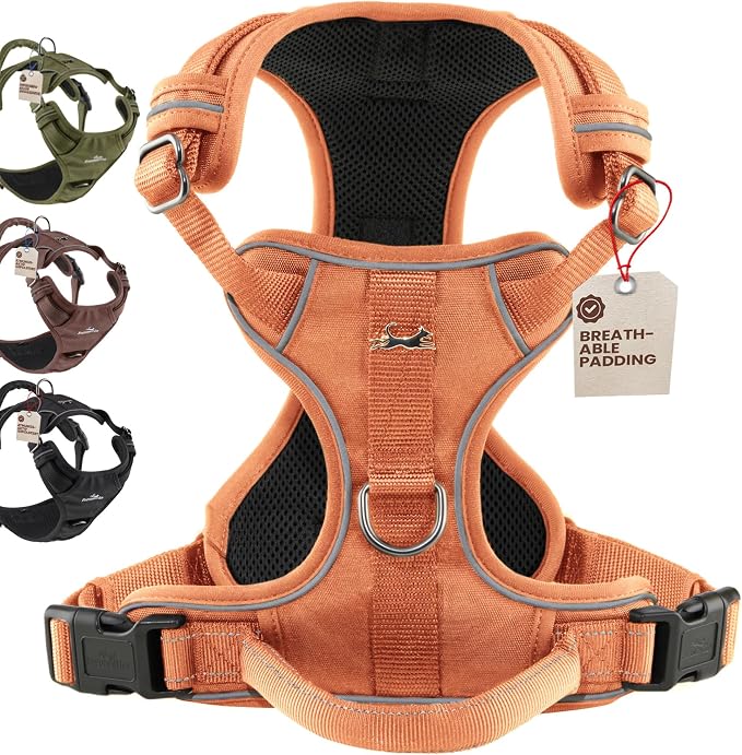 Freudentier No Pull Dog Harness with Handle, Front & Back Clips, Reflective | Soft breathable mesh padding - perfect fit with no chafing or slipping - comfortable dog vest for small, medium & large dogs