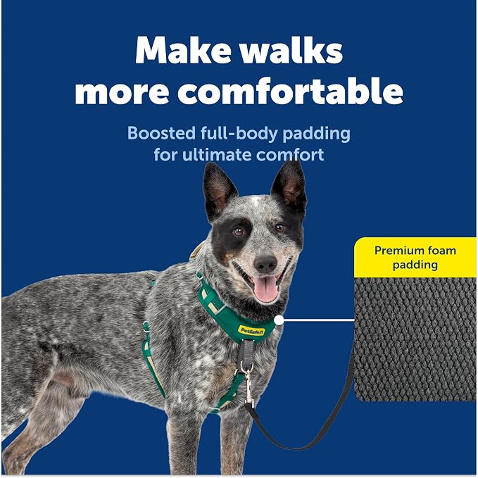 PetSafe Easy Walk Comfort No Pull Dog Harness, Green, Medium | Stops Pulling on First Use with Front Martingale Loop, Full-Body Padding, 5-Point Adjustable Fit