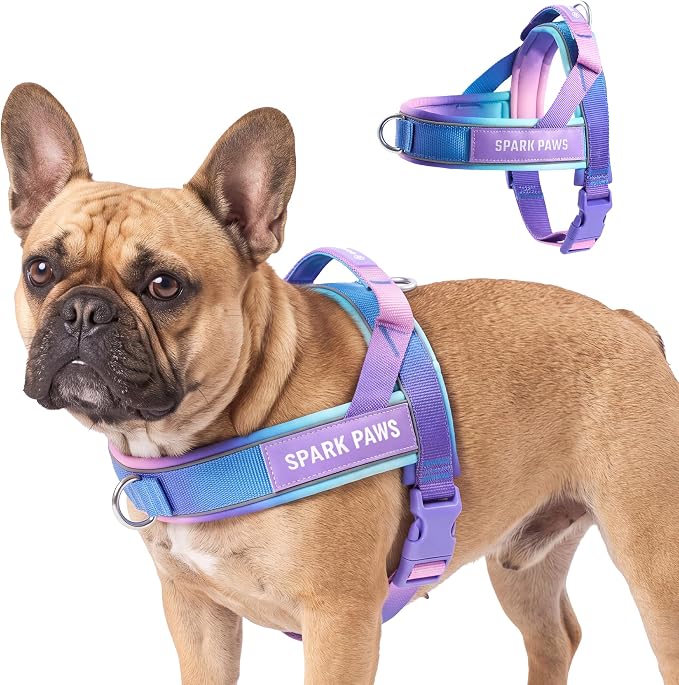 Spark Paws No Pull Front Clip Dog Harness - Easy On, Padded and Lightweight | Two Clips, On in Seconds, Chest Bearing, Australian Style, No Throat Pressure, for Small Medium and Large Breeds