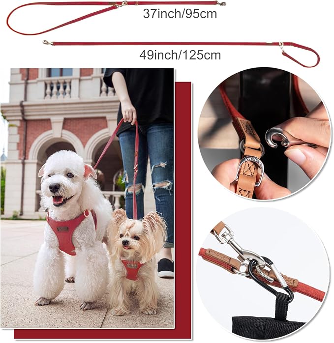 Puppytie Dog Harness and Leash Set, Red Hawthorn, M (16.5-31 lbs) | Harness Small Size Dog, Dog Leash for Small Dogs, Soft Lightweight and Adjustable, Small Dog Harness for Daily Walks