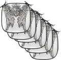 Lunarable Fleur De Lis Chair Cushion Pads Set of 6, Tribal Tattoo Design with Wings Historic Crest Crown and Eagle, Anti-Slip Seat Padding for Kitchen & Patio, 16"x16", Eggshell Black
