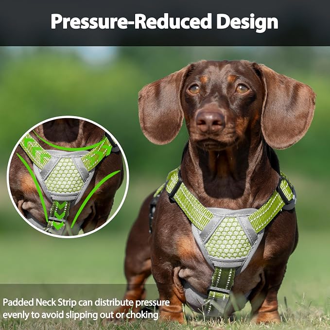 Escape Proof Dog Harness, Dachshund Harness, Reflective Dog Harness with Handle, Durable,Adjustable Vest for Small Medium Large Dogs Walking, Training, and Running Gear (Green,M)