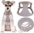 Puppytie Small Dog Harness and Leash Set, Silver Grey, S (9-17.5 lbs) | Dog Harness Small Sized Dog, Dog Leash for Small Dogs, Soft and Lightweight, Puppytie Dog Harness for Daily Walks