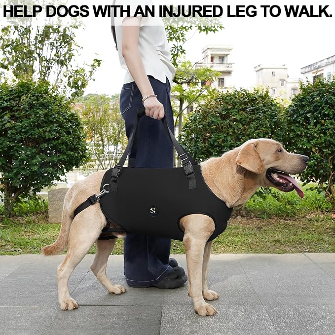 Coodeo Dog Lift Harness, Pet Support & Rehabilitation Sling Lift Adjustable Padded Breathable Straps for Old, Disabled, Joint Injuries, Arthritis, Loss of Stability Dogs Walk (Black, 2XL)