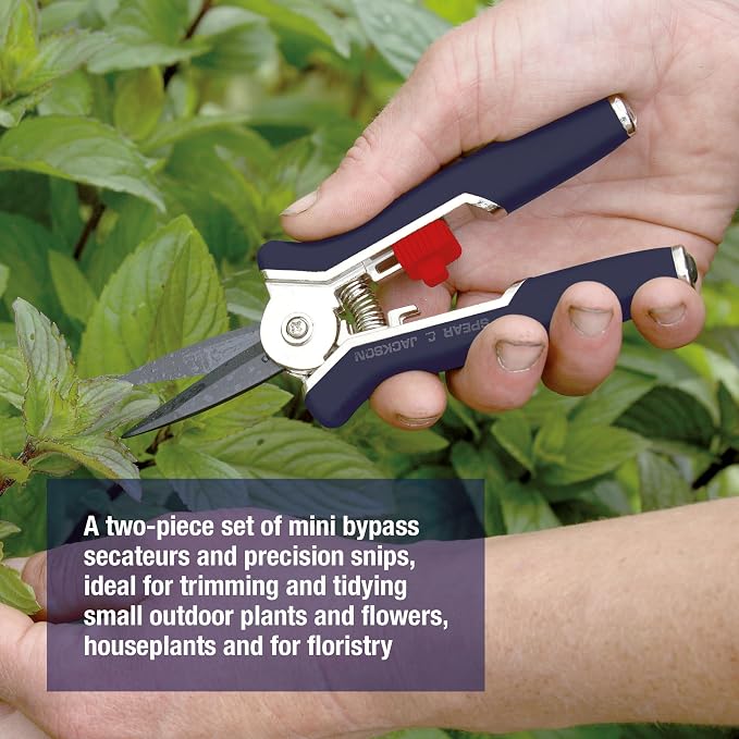 Spear & Jackson Razorsharp Mini Pruner Set for Small Garden Tasks and Bonsai Care, 2 Piece Precision Compact Lightweight Ergonomic Pruning Shears