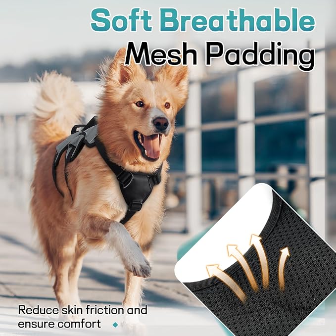 rabbitgoo Escape Proof Dog Harness for Medium, No Pull with Lift Handle | No Escape, Full Soft Padded, Reflective Adjustable Vest, Leash Clip for Walking Hiking Training, Grey, Medium
