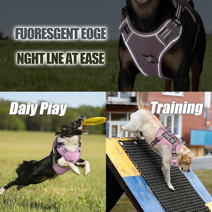 3-in-1 Dog Vest Harness Leash Set for Daily,Service,Training Animal Small