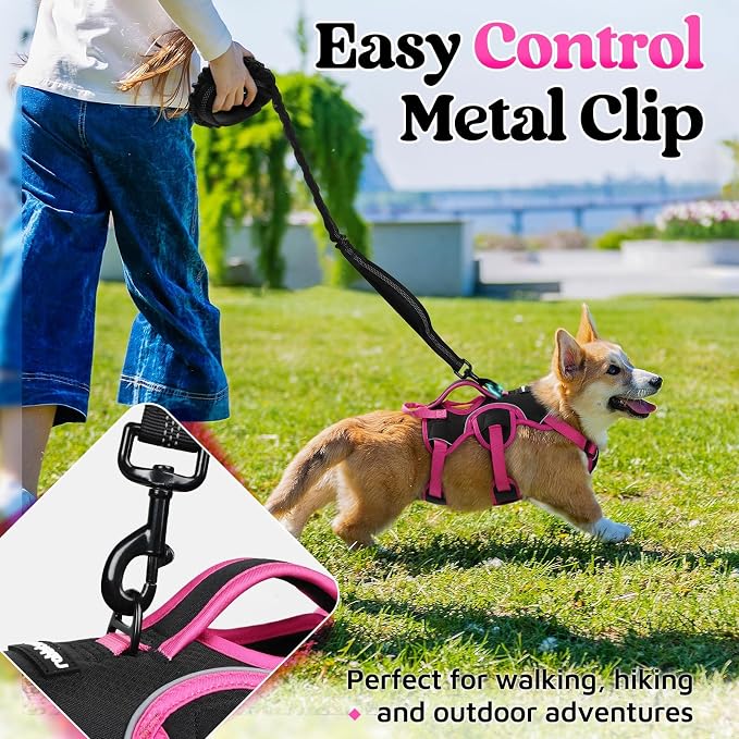 rabbitgoo Escape Proof Dog Harness for Small, No Pull with Lift Handle | No Escape, Full Soft Padded, Reflective Adjustable Vest, Leash Clip for Walking Hiking Training, Rose & Black, Small