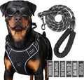 3-in-1 Dog Vest Harness Leash Set for Daily,Service,Training Animal Small