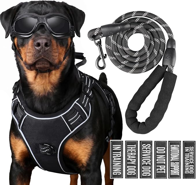3-in-1 Dog Vest Harness Leash Set for Daily,Service,Training Animal Small
