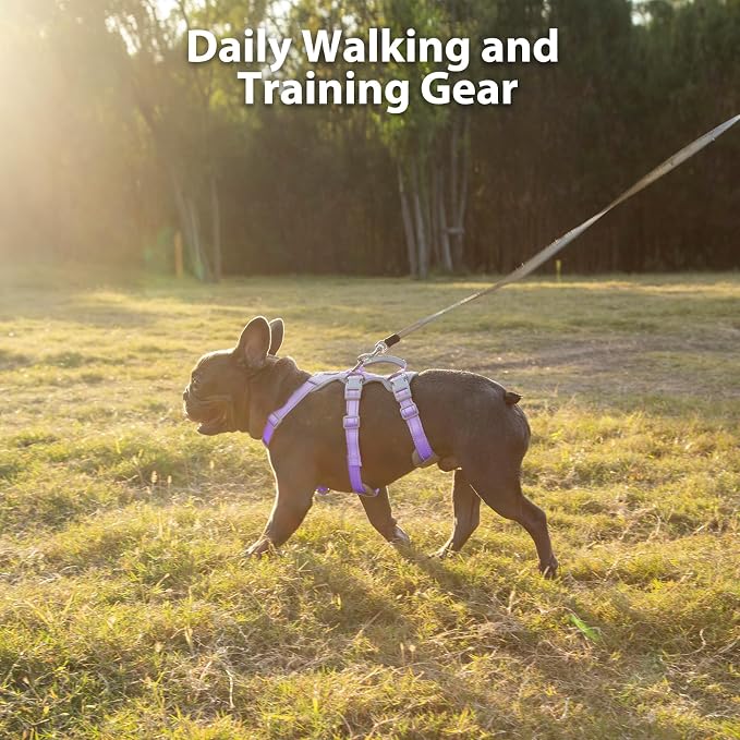 Escape Proof Dog Harness,Secure Dog Harness No Escape,Fully Reflective Harness with Handle,Breathable,Durable,Adjustable Vest for Small Dogs Walking,Training & Running Gear(Lavender Purple,XS)