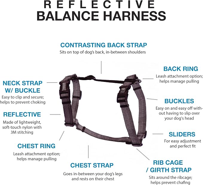 Blue-9 Reflective Buckle-Neck Balance Harness, Fully Customizable Fit No-Pull Harness with 3M Reflective Stitching, Ideal for Dog Training and Obedience, Made in The USA, Grey, XS