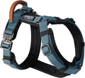 MADE TO ROAM Premium Explorer Harness - Y-Shaped Dog Harness with Adjustable Durable Nylon, Soft Padding, Metal Buckles and Leather Handle for Small, Medium, Large Dogs (California Horizon, Size 5)