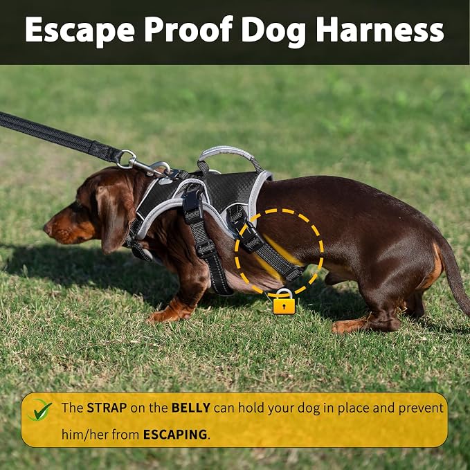 Escape Proof Dog Harness, Dachshund Harness, Reflective Dog Harness with Handle, Durable,Adjustable Vest for Small Medium Large Dogs Walking, Training, and Running Gear (Black,S)