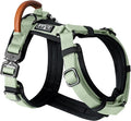 MADE TO ROAM Premium Explorer Harness - Y-Shaped Dog Harness with Adjustable Durable Nylon, Soft Padding, Metal Buckles and Leather Handle for Small, Medium, Large Dogs (Washington Rain, Size 7)