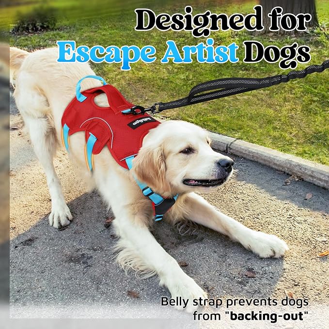 rabbitgoo Escape Proof Dog Harness for Medium, No Pull with Lift Handle | No Escape, Full Soft Padded, Reflective Adjustable Vest, Leash Clip for Walking Hiking Training, Sky Blue & Red, Medium
