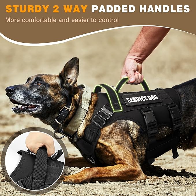 Tactical Dog Harness with Dog Leash, Service Working MOLLE Vest with 10 Pet Patches for Medium Dog, No Pull Military Harness and Backpack for Training Hunting Walking