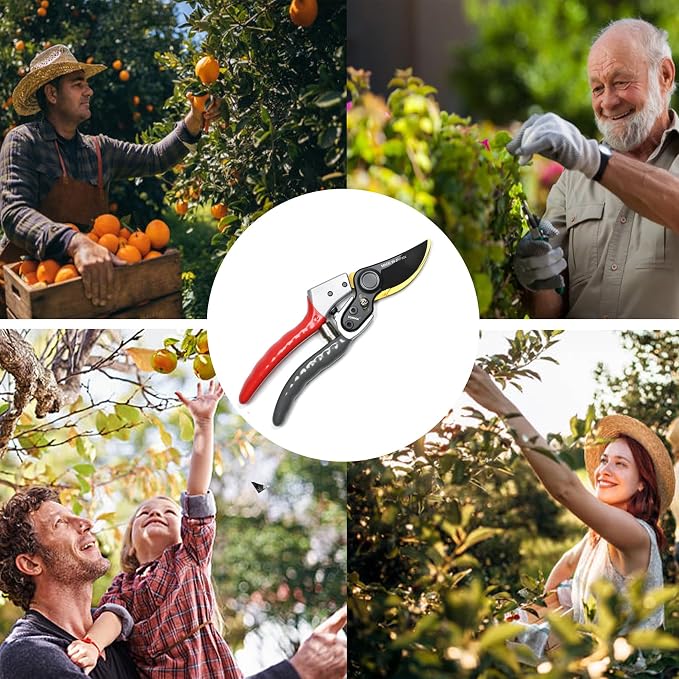 TONMA Bypass Pruning Shears [Made in Japan] 8 Inch Heavy Duty Garden Shears for Gardening, Professional Hand Pruners Garden Clippers with Japanese SK4 Steel Blades, Ergonomic Non-Slip Grip