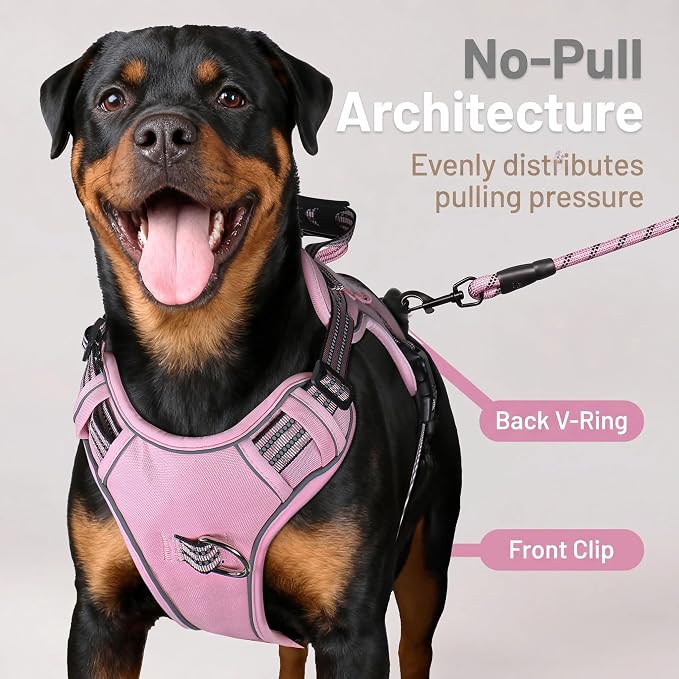 3-in-1 Dog Vest Harness Leash Set for Daily,Service,Training Animal Small