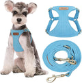 Puppytie Small Dog Harness and Leash Set, Ocean Blue, S (9-17.5 lbs) | Dog Harness Small Sized Dog, Dog Leash for Small Dogs, Soft and Lightweight, Puppytie Dog Harness for Daily Walks