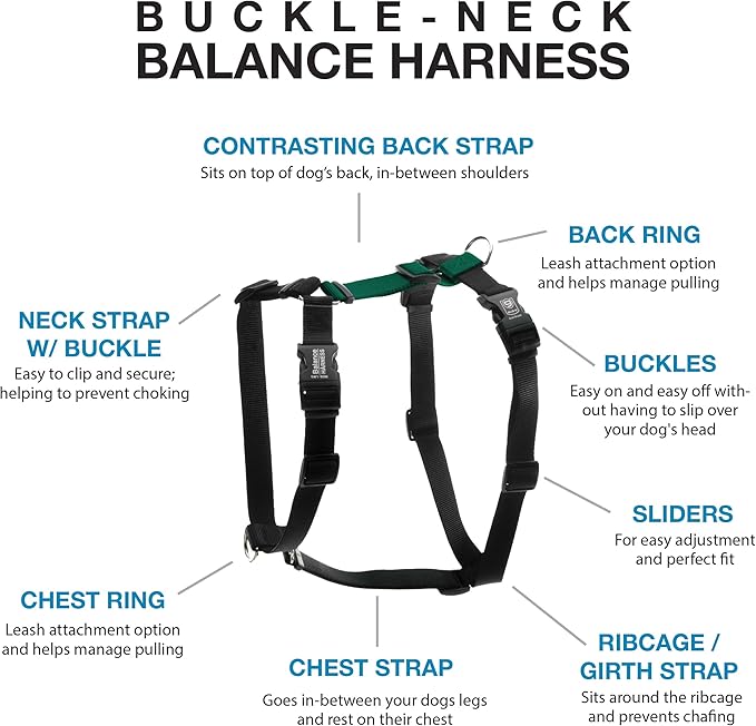 Blue-9 Buckle-Neck Balance Harness, Fully Customizable Fit No-Pull Harness, Ideal for Dog Training and Obedience, Made in The USA, Hunter Green, Small