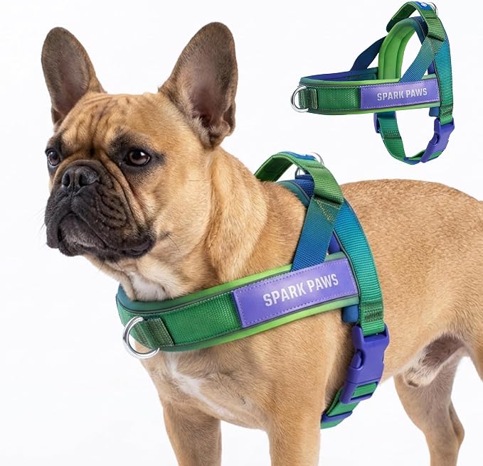 Spark Paws No Pull Front Clip Dog Harness - Easy On, Padded and Lightweight | Two Clips, On in Seconds, Chest Bearing, Australian Style, No Throat Pressure, for Small Medium and Large Breeds
