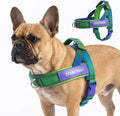Spark Paws No Pull Front Clip Dog Harness - Easy On, Padded and Lightweight | Two Clips, On in Seconds, Chest Bearing, Australian Style, No Throat Pressure, for Small Medium and Large Breeds