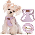 Puppytie XS Dog Harness and Leash Set, Light Purple, XS (4.5-11 lbs) | Extra Small Dog Harness, Puppy Harness and Leash, Soft Lightweight and Adjustable, Xsmall Dog Harness for Daily Walks